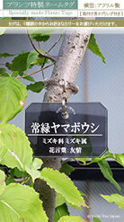 プレート おすすめ 樹名札 作成 作製 寄贈 竣工 引越 新築 学校 幼稚園 保育園 卒園 卒業 入園 入学 結婚 赤ちゃん 誕生 記念品 お祝い 贈呈 ネームプレート 植樹 樹木札 植物ラベル 樹名板 標柱 銘板 