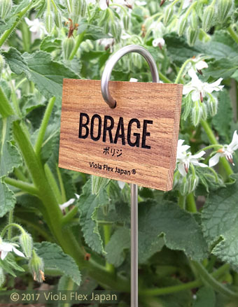 Borage ボリジ ハーブ ピック 名前 品種 種類 名札 文字 消えない ネームプレート ネームタグ ラベル マーカー 名入れ 木製 苗 株 おしゃれ 高級 雑貨 フック ガーデニング 園芸 庭 植物 プランツ 花 木 樹 挿し込み用