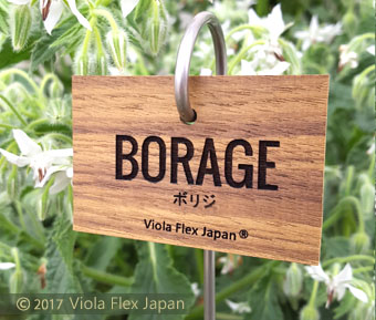 Borage ボリジ ハーブ ピック 名前 品種 種類 名札 文字 消えない ネームプレート ネームタグ ラベル マーカー 名入れ 木製 苗 株 おしゃれ 高級 雑貨 フック ガーデニング 園芸 庭 植物 プランツ 花 木 樹 挿し込み用