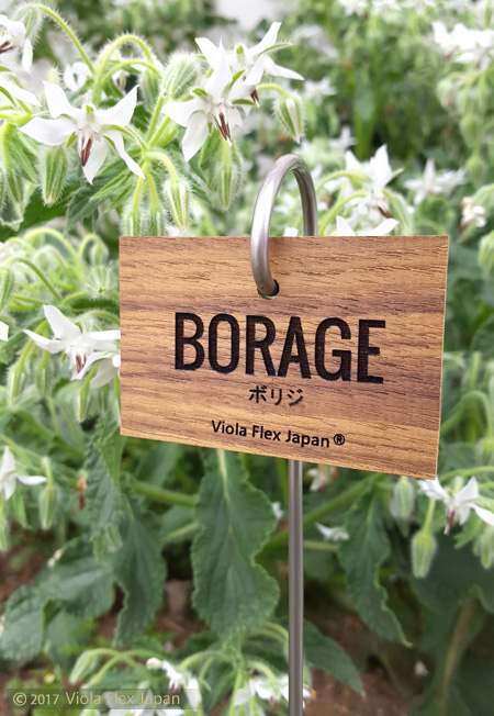 Borage ボリジ ガーデン ピック 名札 ネームプレート タグ ハーブ 苗 カメレオンのしっぽ 種類 名前 品種 マーカー 寄せ植え 花 消えない レストラン カフェ 喫茶店 自然 ナチュラル 飲食店 店舗 什器 ディスプレイ 備品 用品 看板 おしゃれ 高級 雑貨