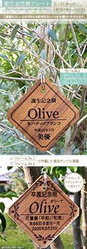 記念樹 プレート おすすめ 樹名札 作成 作製 寄贈 竣工 引越 新築 学校 幼稚園 保育園 卒園 卒業 入園 入学 結婚 赤ちゃん 誕生 記念品 お祝い 贈呈 ネームプレート 植樹 樹木札 植物ラベル 樹名板 標柱 銘板 看板 デザイン 見本 定年 退職 出産 ガーデニング 園芸 グッズ 庭 ピック 名前 名札 文字 消えない ネームタグ ラベル チーク 品種 名入れ 木 樹 木製 苗 株 おしゃれ 高級 雑貨 マーカー フック 刻印 オーダー 花壇