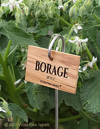 Borage ボリジ ハーブ ピック 名前 品種 種類 名札 文字 消えない ネームプレート ネームタグ ラベル マーカー 名入れ 木製 苗 株 おしゃれ 高級 雑貨 フック ガーデニング 園芸 庭 植物 プランツ 花 木 樹 挿し込み用