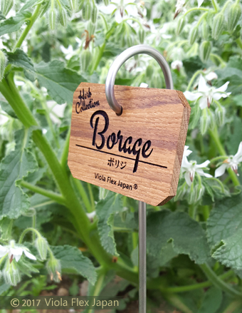 Borage ボリジ ハーブ ピック 名前 品種 種類 名札 文字 消えない ネームプレート ネームタグ ラベル マーカー 名入れ 木製 苗 株 おしゃれ 高級 雑貨 フック ガーデニング 園芸 庭 植物 プランツ 花 木 樹 挿し込み用