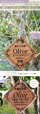 記念樹 プレート おすすめ 樹名札 作成 作製 寄贈 竣工 引越 新築 学校 幼稚園 保育園 卒園 卒業 入園 入学 結婚 赤ちゃん 誕生 記念品 お祝い 贈呈 ネームプレート 植樹 樹木札 植物ラベル 樹名板 標柱 銘板 看板 デザイン 見本 定年 退職 出産 ガーデニング 園芸 グッズ 庭 ピック 名前 名札 文字 消えない ネームタグ ラベル チーク 品種 名入れ 木 樹 木製 苗 株 おしゃれ 高級 雑貨 マーカー フック 刻印 オーダー 花壇