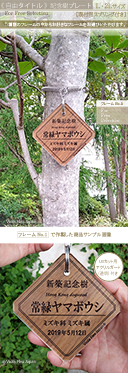 記念樹 プレート おすすめ 樹名札 作成 作製 寄贈 竣工 引越 新築 学校 幼稚園 保育園 卒園 卒業 入園 入学 結婚 赤ちゃん 誕生 記念品 お祝い 贈呈 ネームプレート 植樹 樹木札 植物ラベル 樹名板 標柱 銘板 看板 デザイン 見本 定年 退職 出産 ガーデニング 園芸 グッズ 庭 ピック 名前 名札 文字 消えない ネームタグ ラベル チーク 品種 名入れ 木 樹 木製 苗 株 おしゃれ 高級 雑貨 マーカー フック 刻印 オーダー 花壇