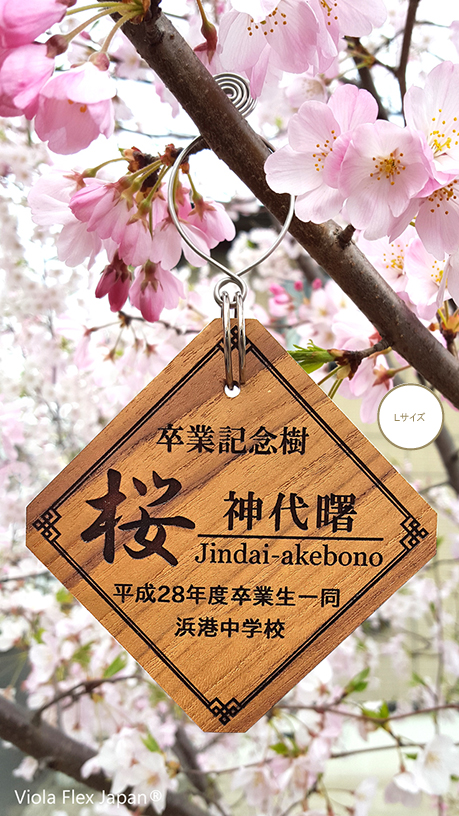 記念樹 卒業 卒園 入学 入園 PTA 植樹 幼稚園 保育園 小学校 中学校 作成 作製 寄贈 竣工 贈呈 受賞 優勝 記念 植物 樹木札 樹名板 樹名札 標柱 銘板 デザイン 見本 ガーデニング 園芸 植物ラベル ピック 名前 プレート 名札 文字 フック タグ ネームプレート 高級 おしゃれ 木 花 木製 苗 オーダー おすすめ 名入れ 花壇 記念プレート