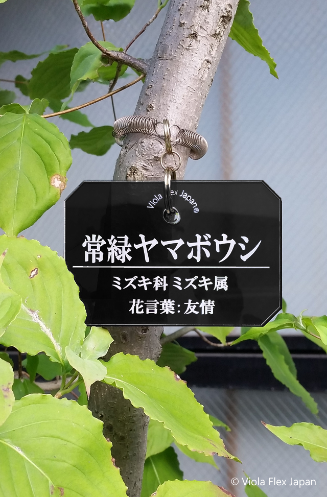 植物・樹木の名札 》プランツ特製ネームタグ 横型 【 取付け用