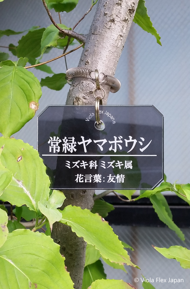 植物・樹木の名札 》プランツ特製ネームタグ 横型 【 取付け用