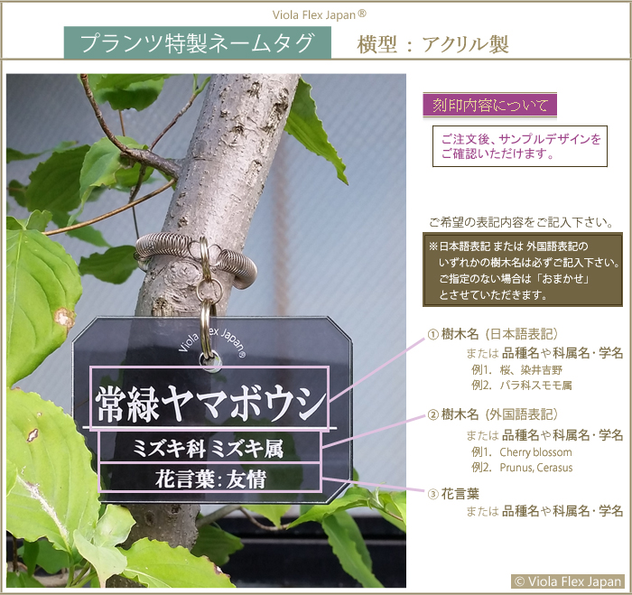 植物 プランツ 樹木 観葉植物 庭 名札 ガーデニング 園芸 スプリング ピック 名前 品種 プレート 花壇 文字 フック タグ ネームプレート 園芸ラベル フラワー ラベル 園芸用 ガーデニング ラベル おしゃれ 木 花 木製 苗 オーダー 花のネーム インテリア カメレオンのしっぽ