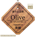 記念樹 誕生 卒業 卒園 入学 入園 結婚 受賞 優勝 記念 庭 植物 ガーデニング 園芸 ピック 名前 プレート 名札 文字 フック タグ ネームプレート 高級 おしゃれ 木 花 木製 苗 赤ちゃん オーダー 祝 名入れ 花壇 記念プレート 植樹