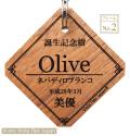 記念樹 誕生 卒業 卒園 入学 入園 結婚 受賞 優勝 記念 庭 植物 ガーデニング 園芸 ピック 名前 プレート 名札 文字 フック タグ ネームプレート 高級 おしゃれ 木 花 木製 苗 赤ちゃん オーダー 祝 名入れ 花壇 記念プレート 植樹
