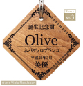 記念樹 誕生 卒業 卒園 入学 入園 結婚 受賞 優勝 記念 庭 植物 ガーデニング 園芸 ピック 名前 プレート 名札 文字 フック タグ ネームプレート 高級 おしゃれ 木 花 木製 苗 赤ちゃん オーダー 祝 名入れ 花壇 記念プレート 植樹