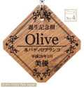 記念樹 誕生 卒業 卒園 入学 入園 結婚 受賞 優勝 記念 庭 植物 ガーデニング 園芸 ピック 名前 プレート 名札 文字 フック タグ ネームプレート 高級 おしゃれ 木 花 木製 苗 赤ちゃん オーダー 祝 名入れ 花壇 記念プレート 植樹