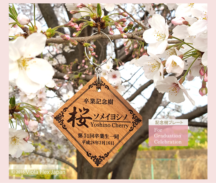 桜 記念樹 卒業 卒園 入学 入園 PTA 植樹 幼稚園 保育園 小学校 中学校 作成 作製 寄贈 竣工 贈呈 受賞 優勝 記念 植物 樹木札 樹名板 樹名札 標柱 銘板 デザイン 見本 ガーデニング 園芸 植物ラベル ピック 名前 プレート 名札 文字 フック タグ ネームプレート 高級 おしゃれ 木 花 木製 苗 オーダー おすすめ 名入れ 花壇 記念プレート